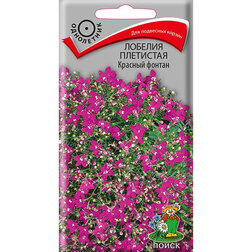 ����  ������� ��������� ������� ������, ������ �� 36 ���