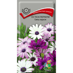 ����  ������������ ����� �������, ������ �� 30 ���