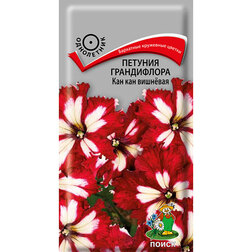 ����  ������� ����������� ��� ��� �������� (���� ������. �� ����� 2024 �), ������ �� 38 ���