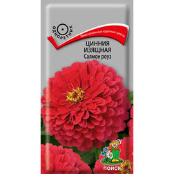 ����  ������ ������� ������ ����, ������ �� 26 ���