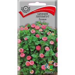 ����  ������ �������� �������, ������ �� 26 ���