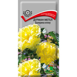 ����  ������ ����� �������� �����, ������ �� 67 ���