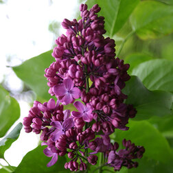 ����  ������ ������������ ����������, ������ �� 595 ���