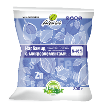 ����  �������� (��������) (0,8��.) (���������), ������ �� 146 ���