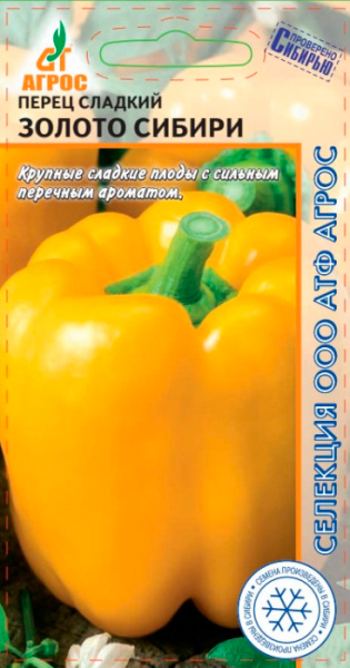 ����  ������ ����� ����� ������� ������ ������, 0,1 � �������� �����, ������ �� 98 ���