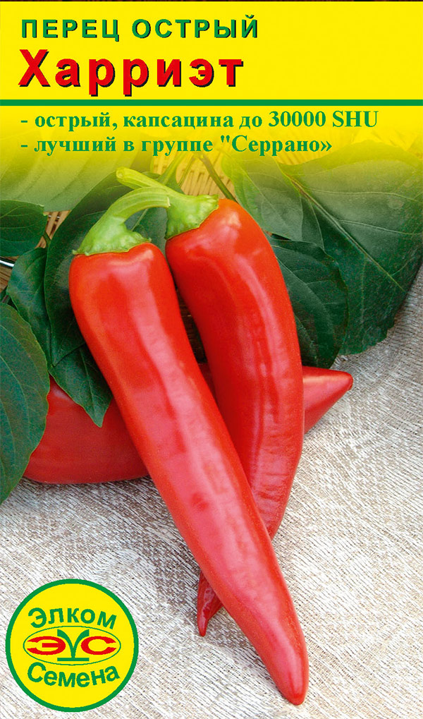 ����  ������ ����� ������ ����� ������ �������, 5 ��., ������ �� 95 ���