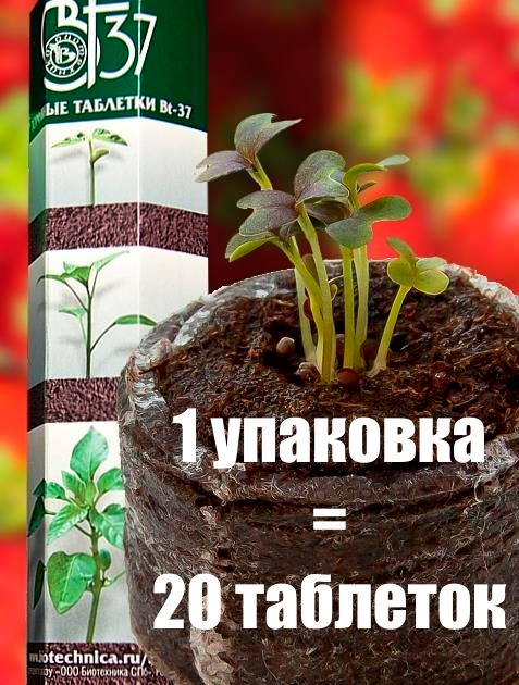 ����  ���� �� ���������� ���������� �������� �������� Bt-37 ��, 20 ��., ������ �� 449 ���