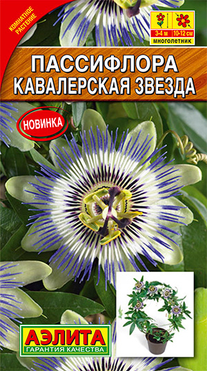 ����  ������ ������ ���������� ����������� ������, 5 ��., ������ �� 45 ���