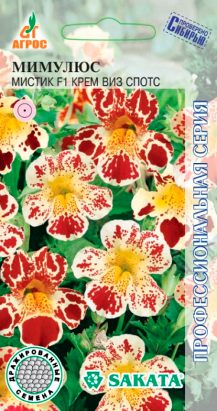 ����  ������ ����� ������� ������ ���� ��� ����� F1, 10 ��. Sakata ���������������� �����, ������ �� 85 ���