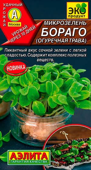 ����  ������ ������ ����������� ������ ��������� �����, 3 �, ������ �� 48 ���