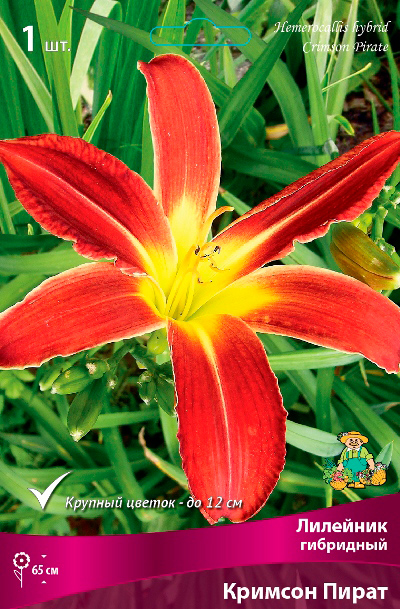 ����  ���������� �������� ����� ��������� �������� ��������� ������� �����, 1 ��. NEW, ������ �� 349 ���