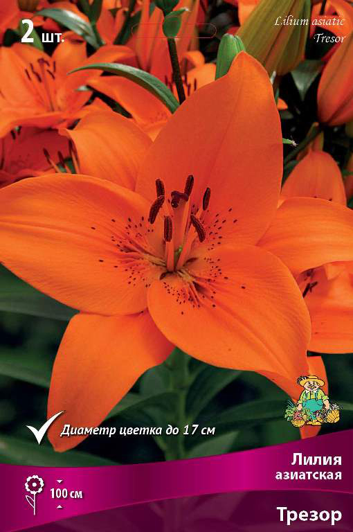 ����  ���������� �������� ����� ��������� ����� ��������� ������, 2 ��., ������ �� 360 ���