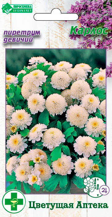 ����  ������ ���������� �������� ������� ������,10 ��. �������� ������, ������ �� 68 ���