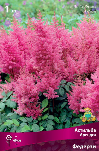 ����  ���������� �������� ����� ��������� �������� ������� �������, 1 ��., ������ �� 315 ���