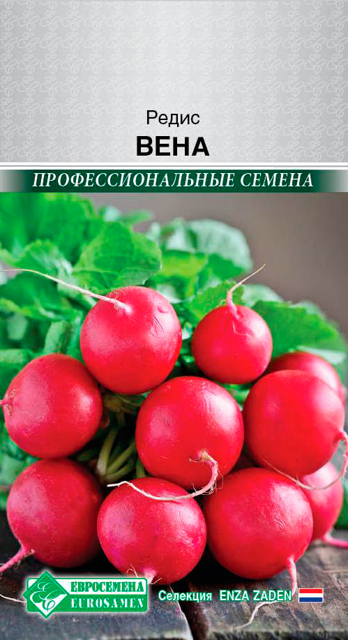      , 0,5  Enza Zaden  ,   59 