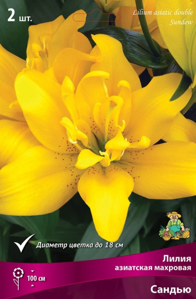 ����  ���������� �������� ����� ��������� ����� ��������� �������� ������, 2 ��., ������ �� 575 ���