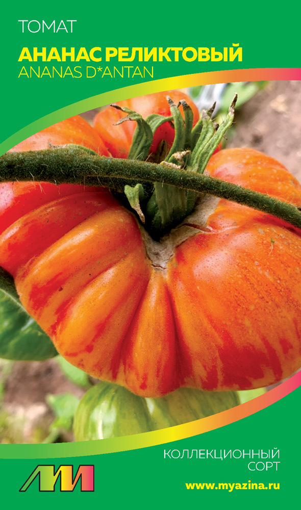 ����  ������ ������ ������ ����������� ����� ������ ����������, 5 ��. ������������� ����, ������ �� 99 ���