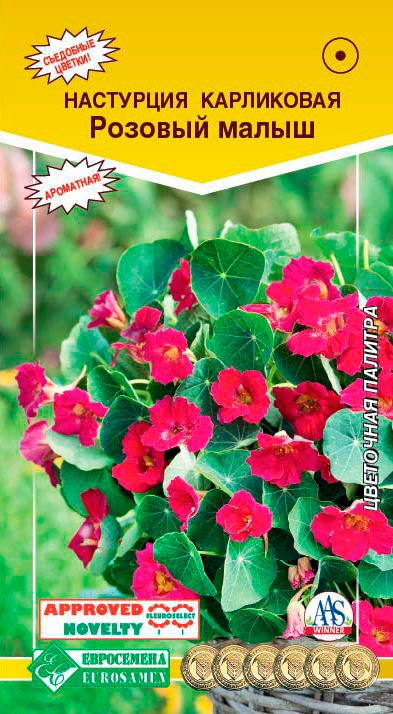 ����  ������ ���������� ��������� ���������� ������� �����, 0,5 �, ������ �� 65 ���