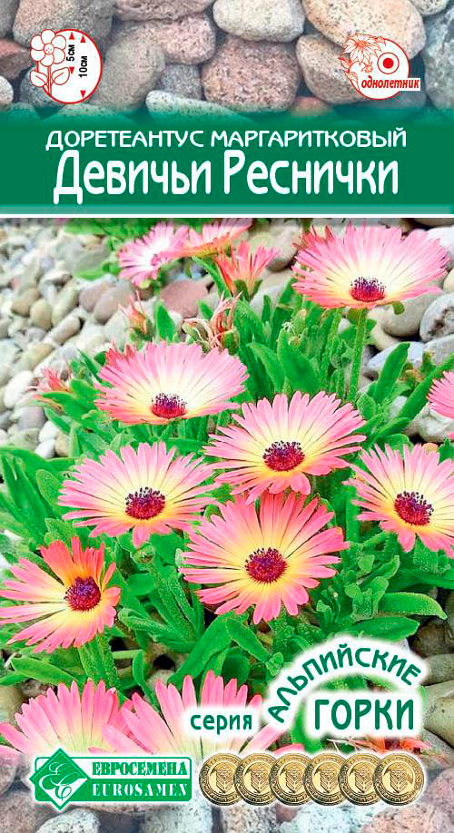 ����  ������ ���������� ����������� ������������� ������� ��������. 0,1 � ����������  �����, ������ �� 48 ���