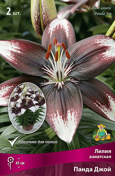 ����  ���������� �������� ����� ��������� ����� ��������� ��������� ����� ����, 2 ��., ������ �� 360 ���