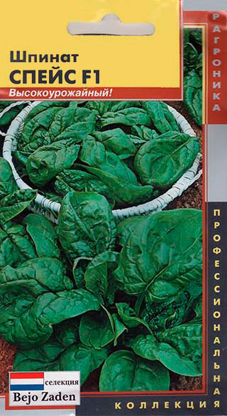 ����  ������ ������� ������ ����� F1, 120 ��. ���������������� ��������� Bejo Zaden, ������ �� 45 ���