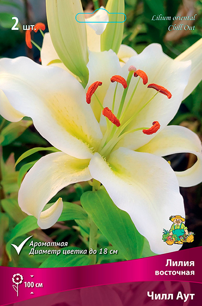 ����  ���������� �������� ����� ��������� ����� ��������� ���� ���, 2 ��., ������ �� 449 ���