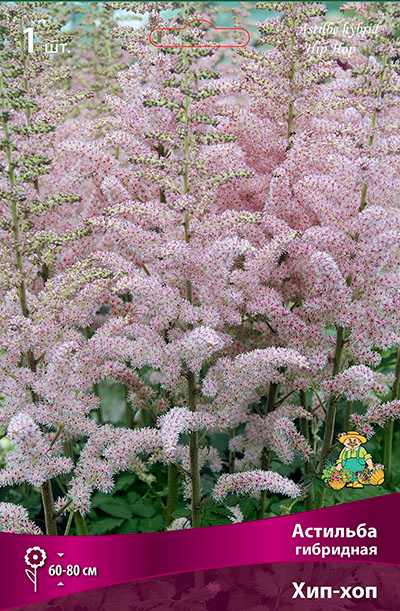 ����  ���������� �������� ����� ��������� �������� ��������� ���-���, 1 ��., ������ �� 395 ���