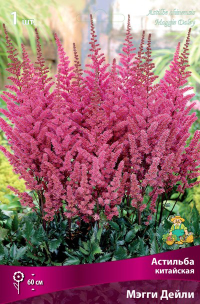 ����  ���������� �������� ����� ��������� �������� ��������� ����� �����, 1 ��., ������ �� 325 ���