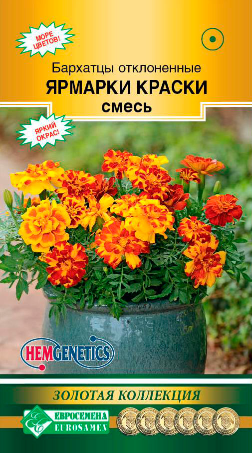 ����  ������ ���������� �������� ����������� ������� ������, �����, 10 ��. Hem Genetics ������� ���������, ������ �� 65 ���