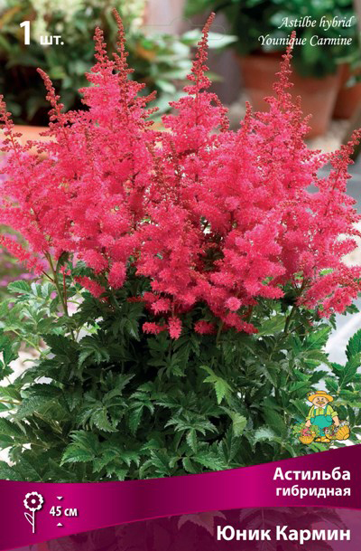 ����  ���������� �������� ����� ��������� �������� ��������� ���� ������, 1 ��., ������ �� 395 ���