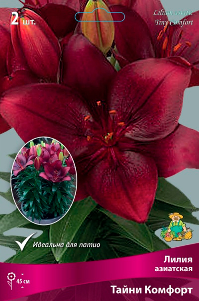 ����  ���������� �������� ����� ��������� ����� ��������� ��������� ����� �������, 2 ��., ������ �� 360 ���