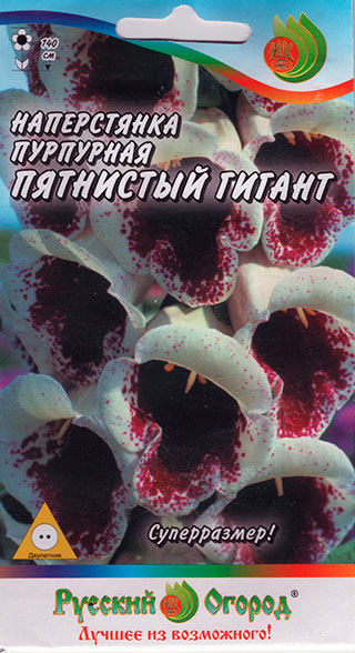 ����  ������ ������� ������ ����������� ��������� ��������� ������, 100 ��., ������ �� 32 ���