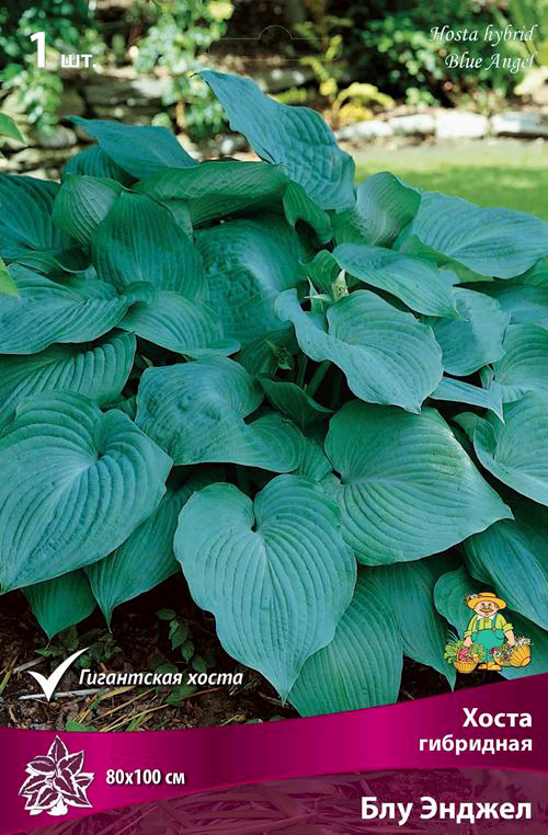 ����  ���������� �������� ����� ��������� ����� ��������� ��� ������, 1 ��., ������ �� 395 ���