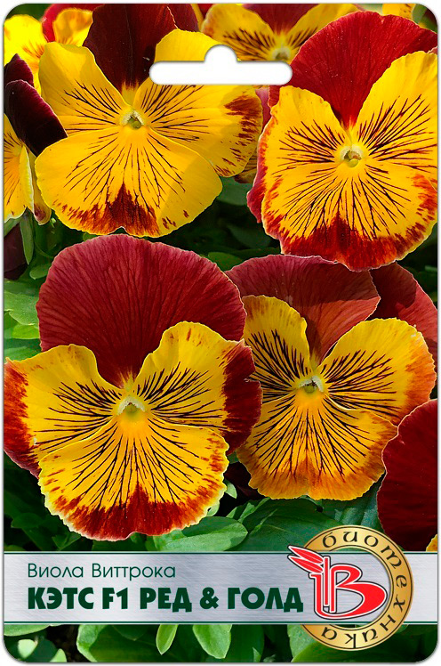 ����  ������ ���������� ����� �������� ���� ��� & ���� F1, 10 ��., ������ �� 195 ���