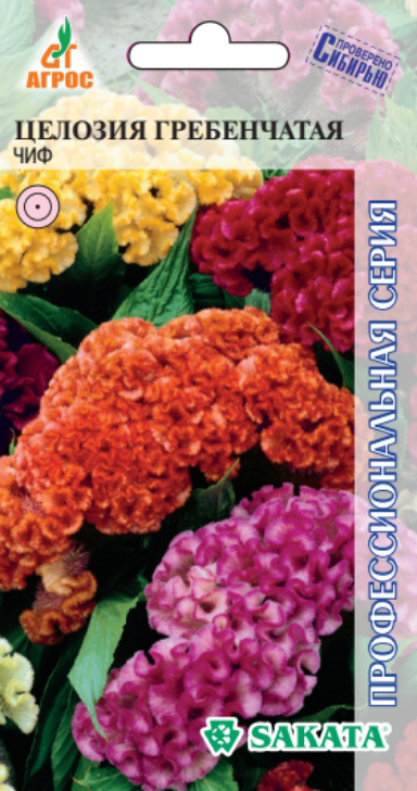      , , 10 . Sakata  ,   65 