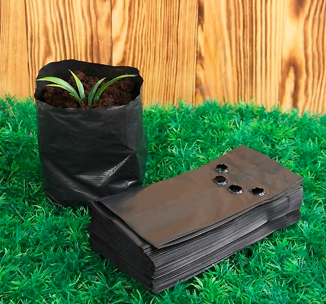 ����  ���� �� ���������� ���� ������ ��� ������� 1,5 �, 17�30 �� � ����������, ������ ��������� 100 ���, 20 ��., ������ �� 149 ���