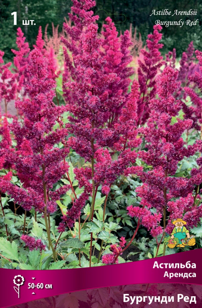 ����  ���������� �������� ����� ��������� �������� ������� �������� ���, 1 ��., ������ �� 315 ���