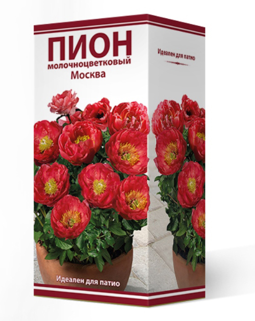 ����  ���������� �������� ����� ��������� ���� ����������� ��� ����� ������, 1 ��., ������ �� 1110 ���