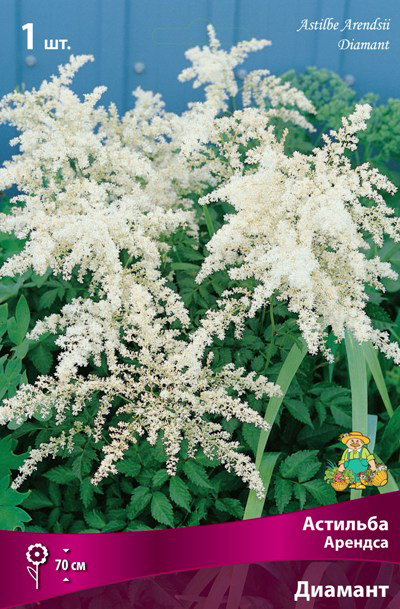 ����  ���������� �������� ����� ��������� �������� ������� �������, 1 ��., ������ �� 315 ���