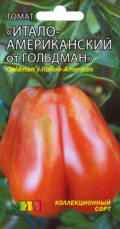 ����  ������ ������ ������ ����������� ����� �����-������������ �� �������� (Goldman's Italian-American) , 5 ��. ������������� ����, ������ �� 149 ���