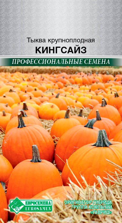 ����  ������ ���������� ����� ������������� ���� ����, 5 ��. ���������������� ������, ������ �� 198 ���