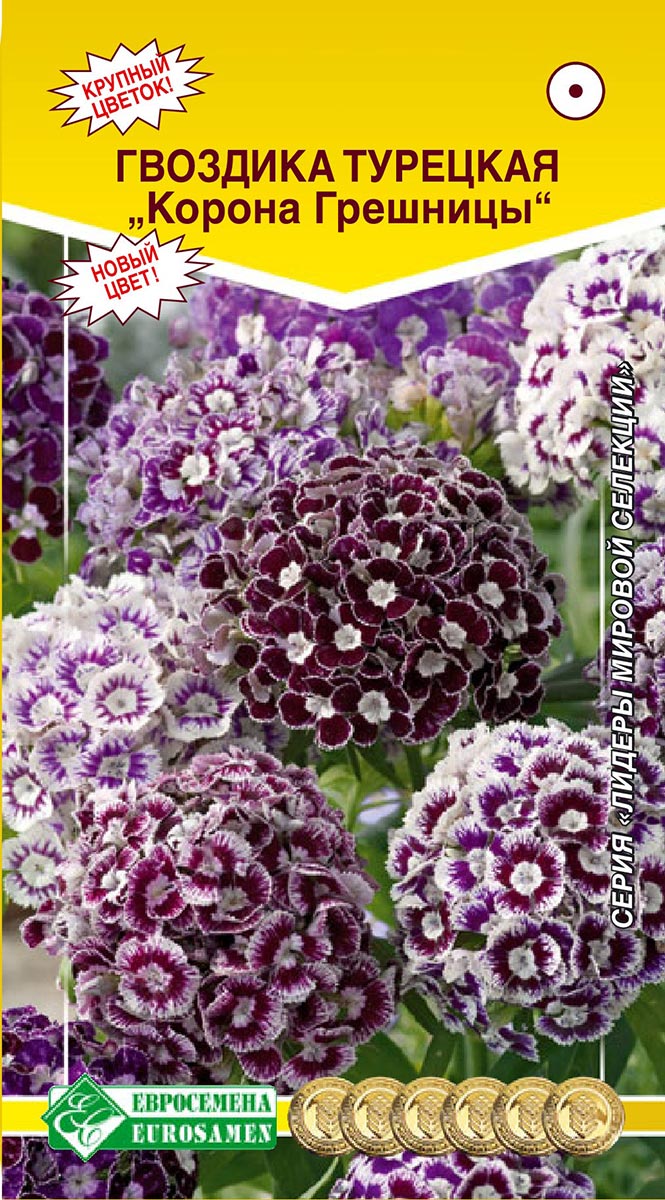 ����  ������ ���������� �������� �������� ������ ��������, 5 ��. ������ ������� ��������, ������ �� 85 ���