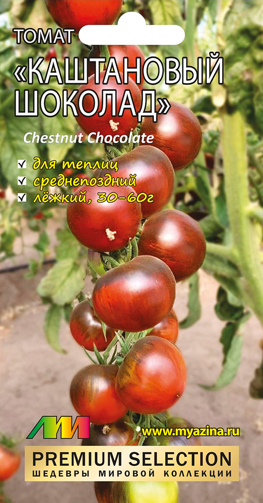 ����  ������ ������ ������ ����������� ����� ���������� ������� (Chestnut Chocolate), 5 ��. Premium Selection, ������ �� 123 ���