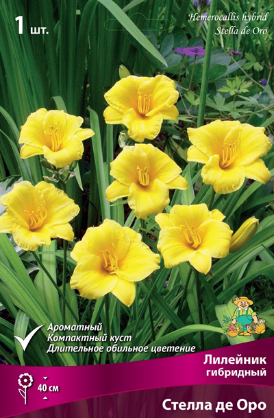 ����  ���������� �������� ����� ��������� �������� ��������� ������ �� ���, 1 ��. NEW, ������ �� 295 ���