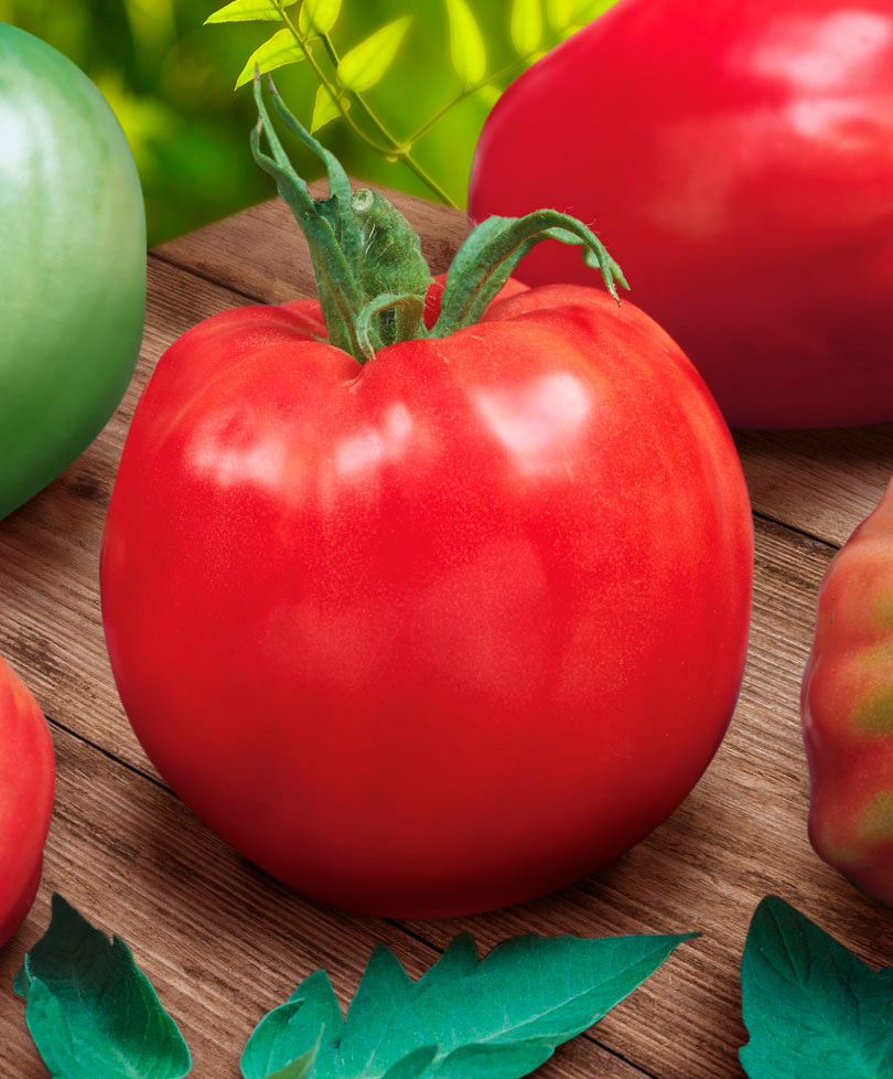 ����  ������ ���� ������ ����� ���������, 5 ��., ������ �� 98 ���