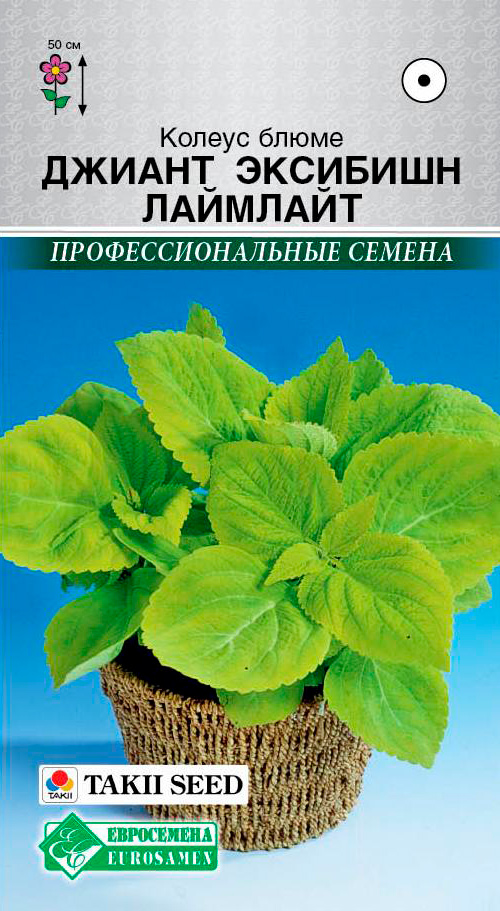 ����  ������ ���������� ������ ����� ������ �������� ��������, 3 ��. Takii ���������������� ������, ������ �� 98 ���