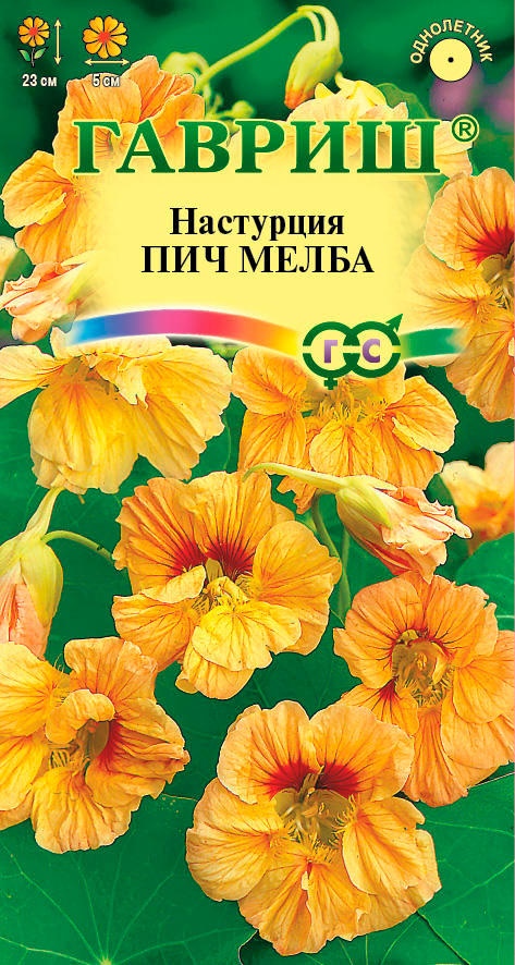 ����  ������ ������ ��������� ��� �����,1 �, ������ �� 35 ���