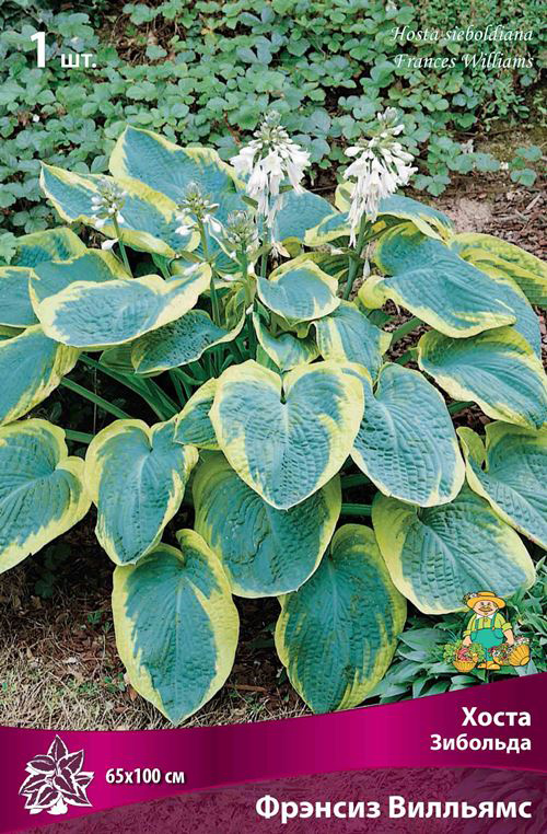 ����  ���������� �������� ����� ��������� ����� �������� ������� ��������, 1 ��., ������ �� 325 ���