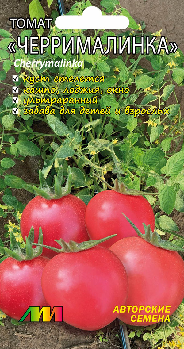 ����  ������ ������ ������ ����������� ����� ������������, 5 ��., ������ �� 110 ���