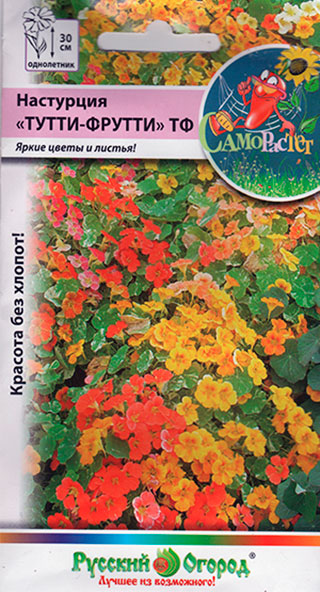 ����  ������ ������� ������ ��������� - ��� �����-������, �����, 2 � ���� ������!, ������ �� 35 ���